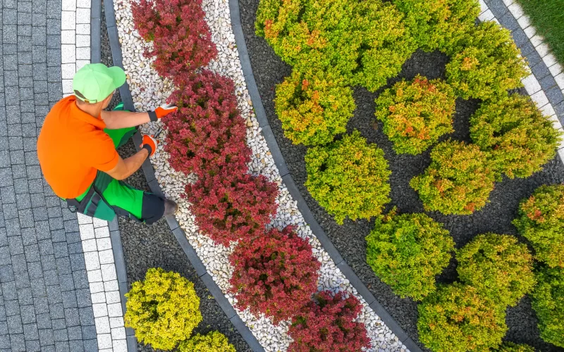 A top view of a gardener installing the plants to the home landscapes.